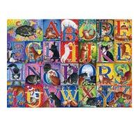 Trefl Puzzle Alphabet de Chats 500 pièces dès 10 ans DIY Collage de peinture 37527 Multicolore