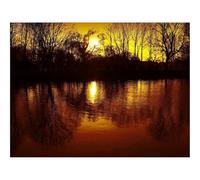 Puzzle 500 Pièces,Le Cadeau Parfait pour La Famille et Les Amis -Déclin,Soleil,Arbres 52x38cm
