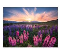 Puzzle 500 pièces Les lupins (Nature edition), Dès 12 ans , Puzzle de qualité supérieure, 12000688, Ravensburger