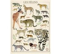 Puzzle 500 pièces : Muséum national d'Histoire naturelle : Les félins G