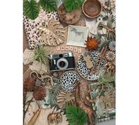 Puzzle 500 pièces : Nature morte vintage Ravensburger G