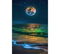 Puzzle 500 Pieces Océan Lunaire, Jeu éducatif Défi Jouets Stimule Concentration et Imagination, Puzzle Adulte 500 Pièces 52 x 38 cm