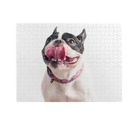 Puzzle 500 pièces pour Adultes, Bouledogue français, Chien Curieux et Heureux, Puzzle en Bois pour Personnes âgées