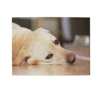 Puzzle 500 pièces pour Adultes, imprimé Labrador Retriever Jaune, Puzzle en Bois pour Personnes âgées