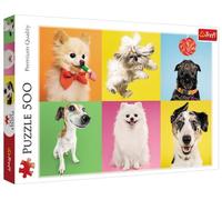 Puzzle 500 Pièces Psy