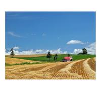 Puzzle 500 Pièces - Puzzle de Qualité SupéRieure-Champ,économie,Foin 52x38cm