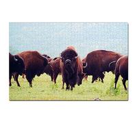 Puzzle 500 pièces, thème Bison d'Oklahoma, Buffalo, États-Unis, Amérique, Jeu, œuvre d'art, Souvenir de Voyage, 52 x 38 cm