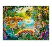 Puzzle 500 pièces : Tigres dans l'oasis G