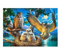 Castorland Puzzle CSB53322 Owl Family – 500 pièces – multicolore
