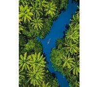 500 pièces - Tropical Aerial View