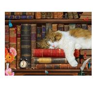 Puzzle Eurographics - La sieste du chat, 500 pièces XXL multicolore G