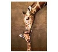 Eurographics Puzzles – Puzzle 500 pièces XXL «Girafe Mother's Kiss» multicolore G