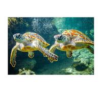 Puzzle 5000 Pieces Animaux, Puzzle Tortue Adulte, Puzzles Classiques Jeux Educatifs pour Activité Familiale, Qualité Supérieure Puzzles en Bois avec Boite pour Cadeau Homme Cadeau Femme, Decor -1600