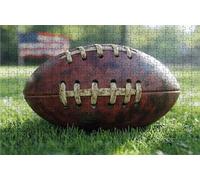 Puzzle 5000 Pieces, Puzzle Adultes 5000 Pièces Football, Puzzles Classiques Bois 160 x 105CM Planter, Exquisite Papierboxverpackung, Tragbarer Netzbeutel Geeignet für die ganze Familie Cadeau RXPT-113