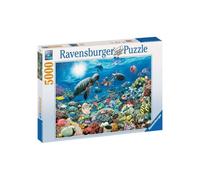 Puzzle 5000 pièces ravensburger monde ma