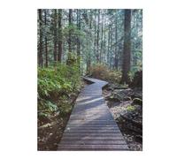Puzzle 52x38cm/1000pcs Boardwalk in The Forest Puzzles pour Adultes, Jeux De Famille, Assemblage De Motifs, Idéal comme Cadeau pour Toute La Famille 52x38cm/1000pcs
