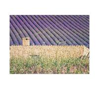 Puzzle 52x38cm/1000pcs pour Adultes Et Adolescents, Jeu Familial, Modèle À Assembler, Idéal comme Cadeau pour Toute La Famille 52x38cm/1000pcs