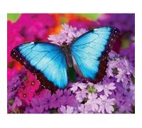 Puzzle 550 pièces : Iridescence Master Pieces G
