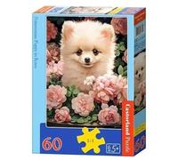 Puzzle 60 Chiot de Poméranie dans Roses Castor