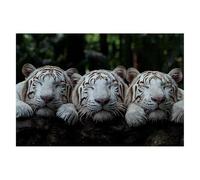 Puzzle 6000 Pieces Animaux 179x105cm Puzzle Adulte Tigre de Qualité, Colorés, Supérieure Défi éducatif Jouets pour Familial Les Soirées de Jeu pour Cadeau Femme Homme Decoration Noel Chambre D-30
