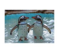 Puzzle 6000 Pieces Manchot 179x105cm Puzzle Adulte Animaux de Qualité, Colorés, Supérieure Défi éducatif Jouets pour Familial Les Soirées de Jeu pour Cadeau Femme Homme Decoration Noel Chambre A-39