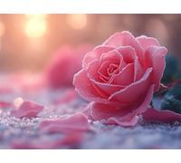 Puzzle 6000 Pieces Rose Puzzle Adulte 179x105cm, Pétales de Fleurs, n-545 | Puzzles Défiants Jeu éducatif, Jeu D'Adresse Pour Toute La Famille, Activité Familiale Parfaite, Idee Cadeau