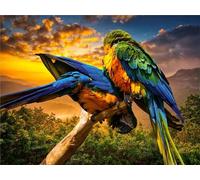 Puzzle 70 Pieces Adultes Perroquet Animal 20 x 15 cm Puzzle Adulte Jeu éducatif défi Jouet Puzzle Impossible 70 Pièces Puzzles