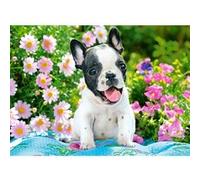 Puzzle 70 pièces French Bulldog Puppy