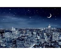 Puzzle 70 pièces Paysage Nocturne de la Ville Puzzles pour Adultes Jeux d'activités Familiales,Puzzle à Faire Soi-même pour Décoration Murale de la Maison