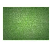 Puzzle 736 pièces Ravensburger - Néon vert - Pour adultes - 70 x 50 cm