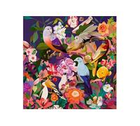 Puzzle 750 pièces Observation des oiseaux Art & Soul