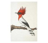Puzzle 75x50cm/1000pcs pour Adolescents Red-Crested Bird Illustration Puzzles pour Adultes Jeu Manuel Décoration Murale Interaction Parent-Enfant 75x50cm/1000pcs