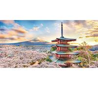 Puzzle 800 pièces - Puzzle en Plastique - Fuji Sengen Shrine, Japan