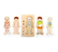 Small Foot Design – Puzzle en bois 5842 Anatomie garçon – 29 pièces, à étages, multicolore