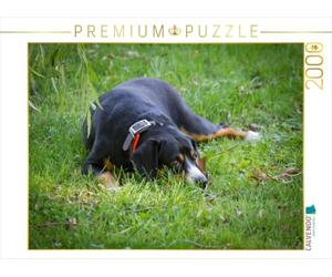 Puzzle · À l'affût | Chien de berger d'Entlebuch · 2000 pièces · Format assemblé 90 × 67 cm · CALVENDO Puzzle