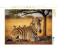 Puzzle · À l'ombre des Acacias | Des zèbres dans la savane · 1000 pièces · Format assemblé 64 × 48 cm · CALVENDO Puzzle