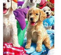 Puzzle À Thème Animalier - Jeu de Conception du Chien Faisant la Lessive,Le Puzzle de 1000 Pièces pour Adultes avec Lettres au Dos - Activité Ludique pour Toute la Famille Hommes et Femmes