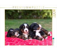 Puzzle · Adorables Chiots de Berger Bernois | Des chiots de race berger bernois sont couchés sur une… · 2000 pièces · Format assemblé 90 × 67 cm · CALVENDO Puzzle