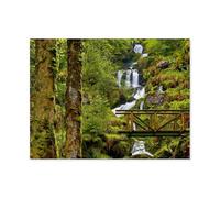 Puzzle Adult 1000,Belle Nature Sauvage dans Le Nord de la Forêt-Noire,Puzzle De 1000 Pièces Jeux De Famille Amusants, Divertissement De Relaxation Et De Méditation(50x70cm)-AT3