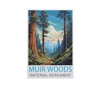 Puzzle Adult 1000,Monument National de Muir Woods,Puzzle De 1000 Pièces Jeux De Famille Amusants, Divertissement De Relaxation Et De Méditation(38x26cm)-FQ35