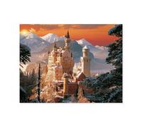 Puzzle Adult 1000,Neuschwanstein en Hiver, Allemagne,Puzzle De 1000 Pièces Jeux De Famille Amusants, Divertissement De Relaxation Et De Méditation(50x70cm)-D39