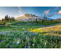 Puzzle Adulte 100 Pièces Montagnes Fleurs Sauvages 40 x 28 cm Puzzles pour Adultes Jeu éducatif Puzzle Impossible Puzzles 100 Pièces Adultes