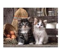 Puzzle Adulte 1000 Pieces : 2 Mignons Petits Chatons - Collection Animaux - Chat