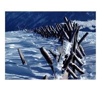 Puzzle Adulte 1000 Pièces,Activité Anti-Stress-Clôture,rondins,Montagnes 70x50cm