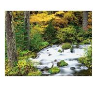Puzzle Adulte 1000 Pièces,Activité Anti-Stress-Oregon,Bois,Arbres,Automne,Rivière,Pierres 70x50cm