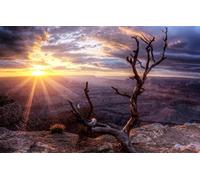 Puzzle Adulte 1000 pièces, beauté Naturelle, Bois, Arizona, Coucher de Soleil, Soleil, vallée, Grand Canyon 70x50CM