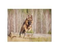 Puzzle Adulte 1000 Pièces，Berger Allemand sautant par-Dessus Un Tronc d’Arbre，Puzzle Classique Jouet Jeu De Puzzle Unique Décorations pour La Maison Et Cadeaux Puzzle pour Enfants Et Adultes-F64