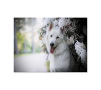 Puzzle Adulte 1000 Pièces，buisson de Fleurs de Berger Blanc，Intellectuel Décompression Jouet Amusant Jeu De Famille pour Adultes Et Enfants（50x70cm）-J73