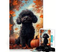 Puzzle Adulte 1000 pièces Caniche Noir dans Un décor d'automne | Illustration de Chien d'automne aux Contours Nets,Jeu de Concentration Amusant,Moment de détente,Cadeau de Noël Original (50x75cm)
