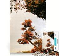 Puzzle Adulte 1000 pièces Canopée d'arbres d'automne Découpe précise Activité cérébrale Amusante et relaxante Jeu de Noël Décoration de Maison (38x52cm)